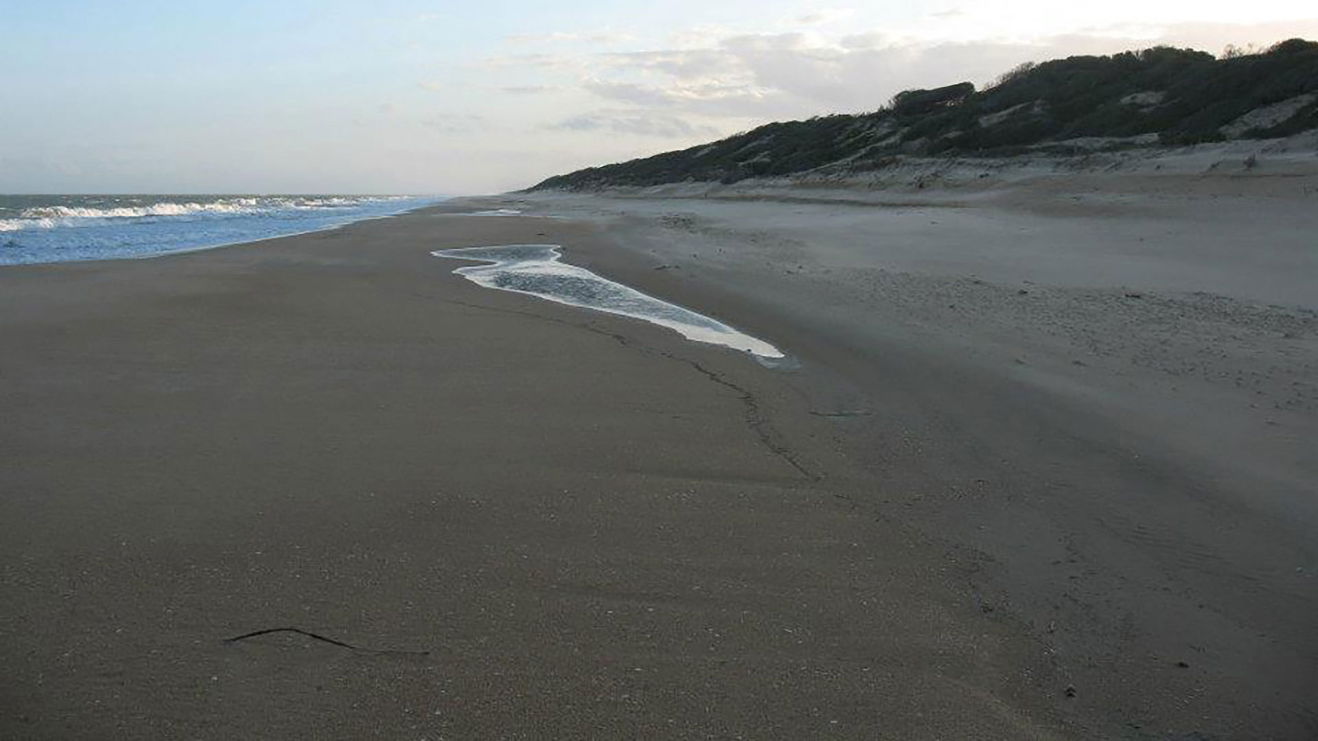 Beautiful 90 Mile Beach